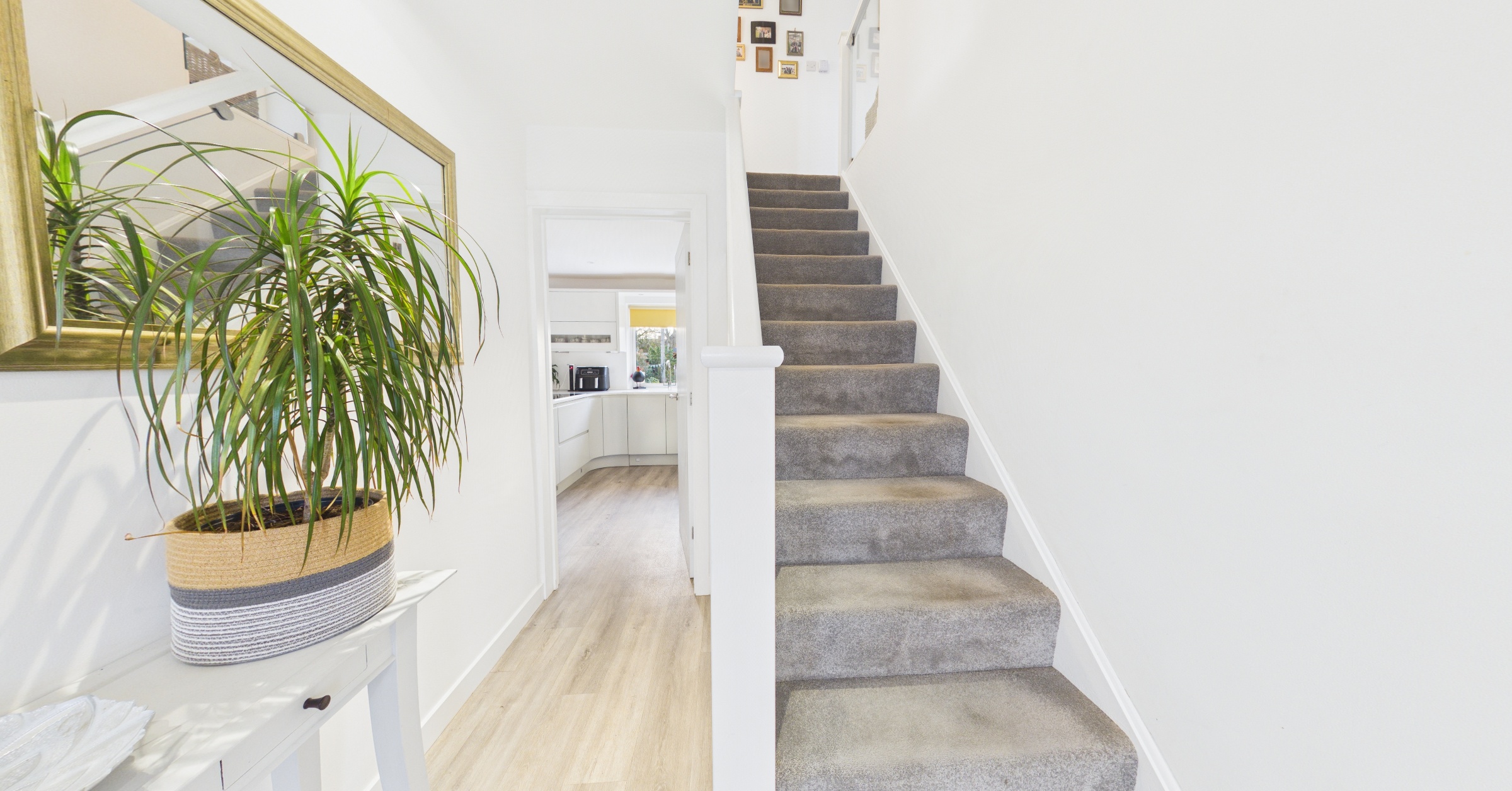 62 gordon road